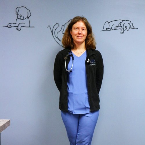 Dr. Kelley Reynolds, DMV