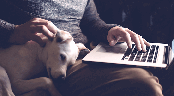 white dog laying on owners lap while owner pets him and uses laptop
