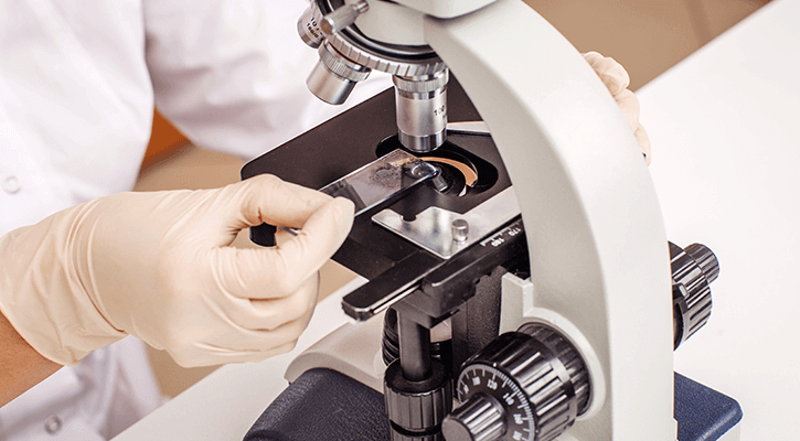 In-House-Lab vet professional looking at sample slide on microscope