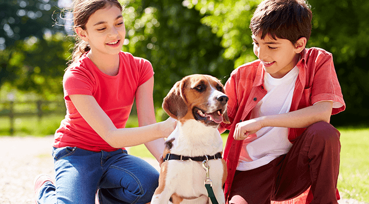 two kids wearing red shirts with their brown and white dog sitting outside