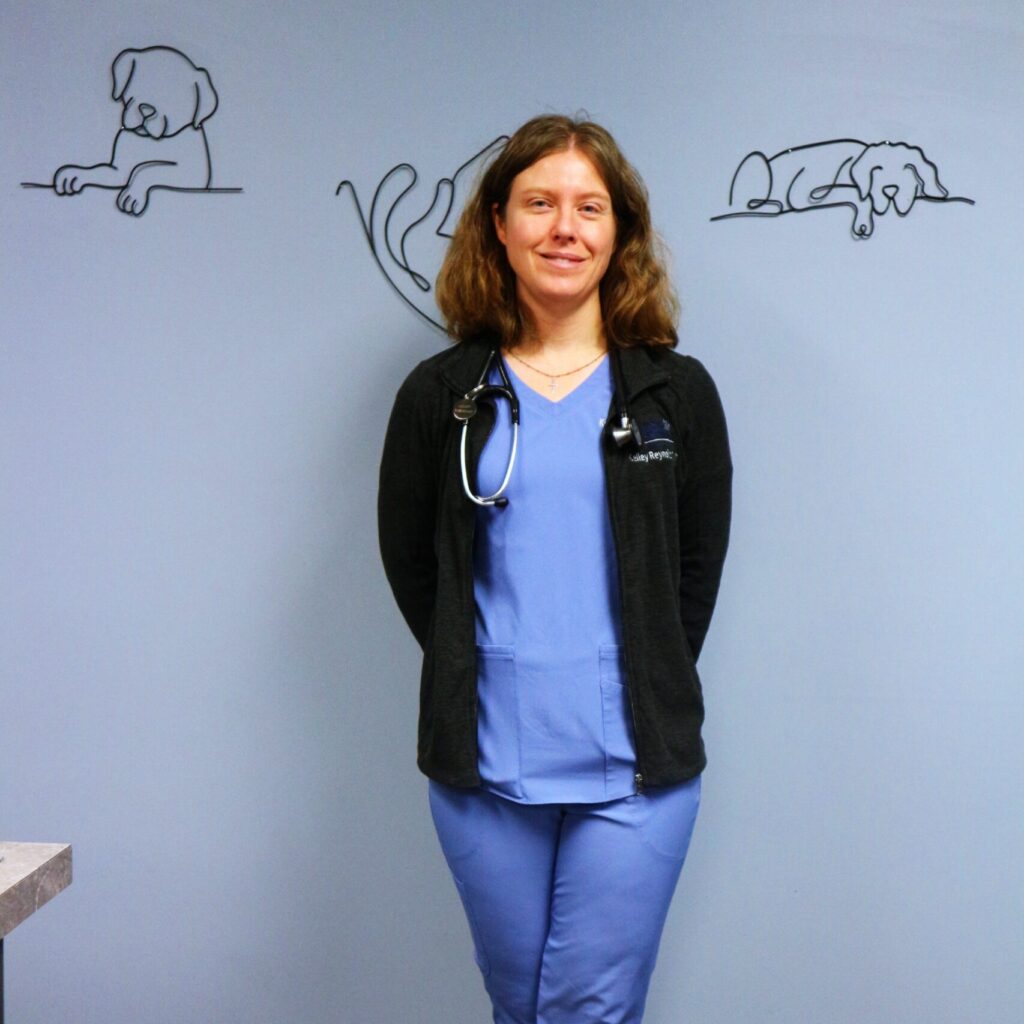 Dr Kelley